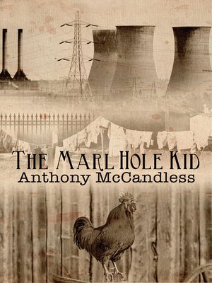 cover image of The Marl Hole Kid